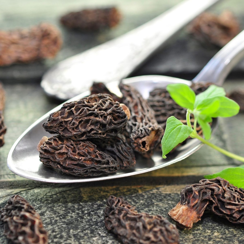 Morilles Séchées Extra 25g