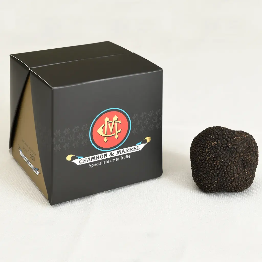Truffes Noires Fraîches Brossées 1er choix Tuber Melanosporum - Origine France 100g